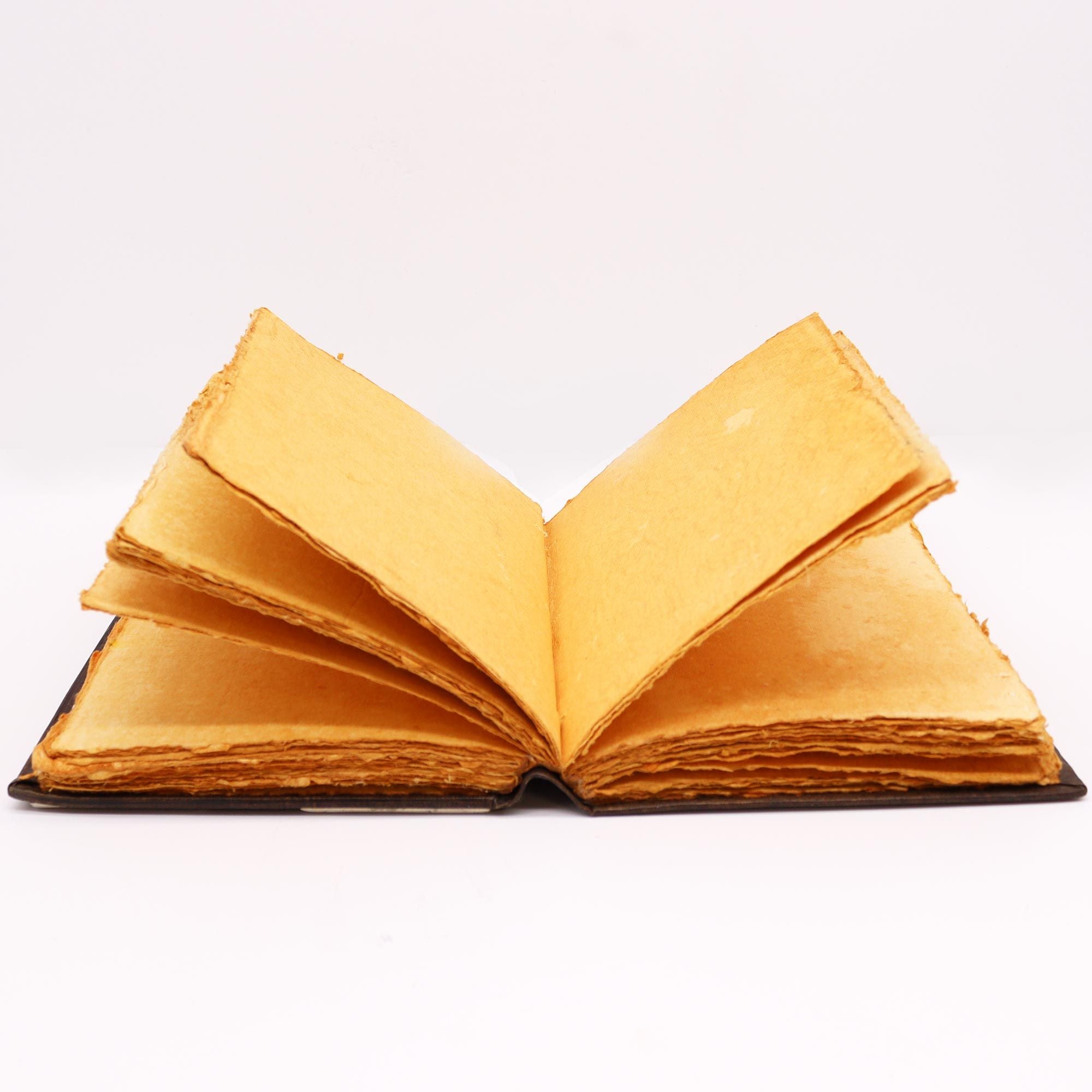 Il Pentacolo dell’Armonia – Diario dell’Alchimista