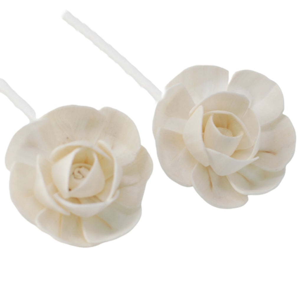 🌸 Fiore Diffusore Naturale – Lotus su Stringa